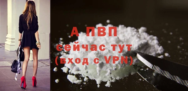 ГАЛЛЮЦИНОГЕННЫЕ ГРИБЫ Магадан