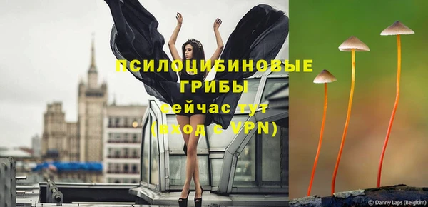 СК Майский
