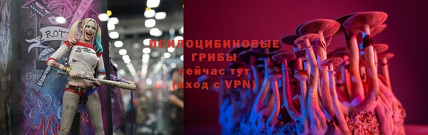 ГАЛЛЮЦИНОГЕННЫЕ ГРИБЫ Магадан