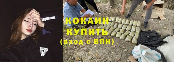 сатива Богородск