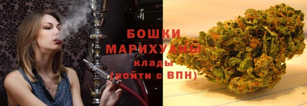 дурь Магас