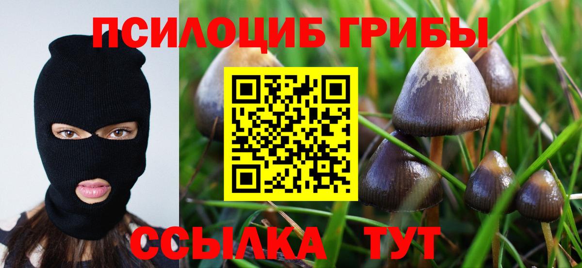 Псилоцибиновые грибы ЛСД  Вход с VPN  Рыбинск 